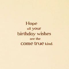 Disney Winnie the Pooh Hope Your Wishes Come True Birthday Card