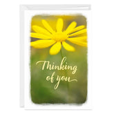 Have a Good Day Thinking of You Photo Card