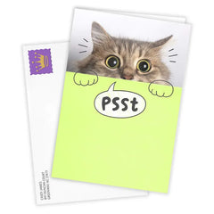 You're Mind Boggling Peeking Cat Custom Card