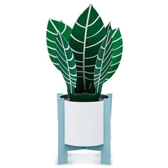 Zebra Plant Own Your Stripes 3D Pop-Up Thinking of You Card