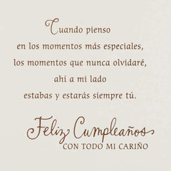 Lifetime of Memories Spanish-Language Birthday Card for Sister