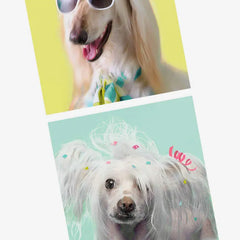 An Extra Day to Recover Funny Birthday Card