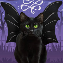Scare Up Some Fun Black Cat Bat Halloween Card