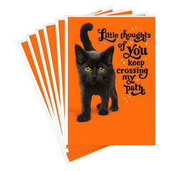 Purr-fectly Wonderful Black Cat Halloween Cards, Pack of 6