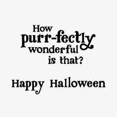 Purr-fectly Wonderful Black Cat Halloween Cards, Pack of 6