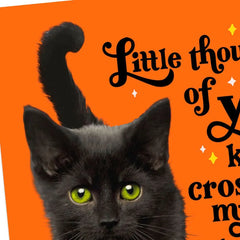 Purr-fectly Wonderful Black Cat Halloween Cards, Pack of 6