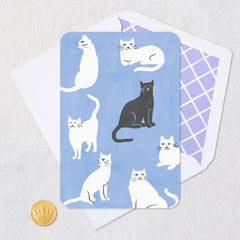 Black and White Cats Blank Card