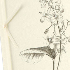 Black-and-White Botanical Drawing Blank Card