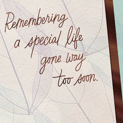 Remembering a Special Life Gone Too Soon Sympathy Card