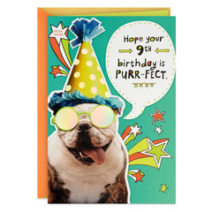 Bulldog in Party Hat Funny 9th Birthday Card With Decal