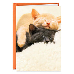 Spending All Nine Lives With You Love Card