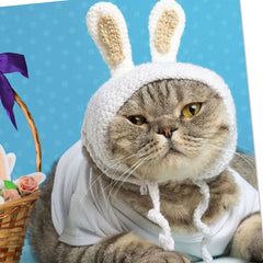 No Animals Were Harmed Funny Easter Card With Sound