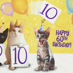 Six Perfect 10s Funny 60th Birthday Card