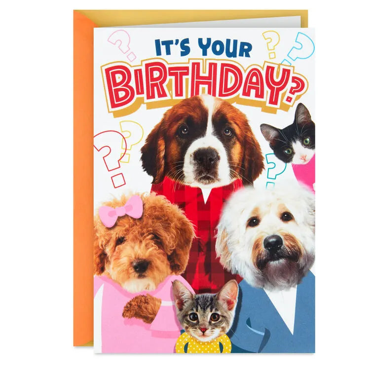 Cats and Dogs Round of Appaws Funny Pop-Up Birthday Card