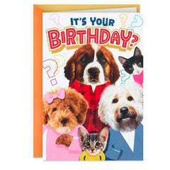 Cats and Dogs Round of Appaws Funny Pop-Up Birthday Card