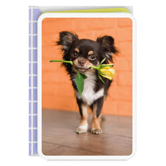 Chihuahua Dog With Flower Blank Card