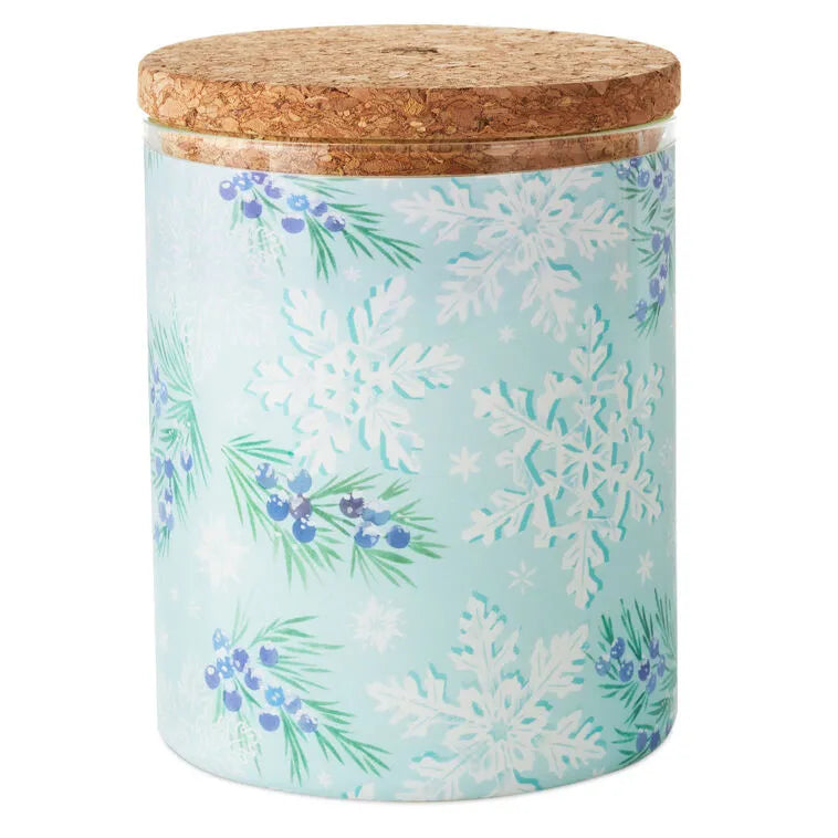 Chilled Mint and Vanilla Scented 2-Wick Jar Candle, 14.5 oz.