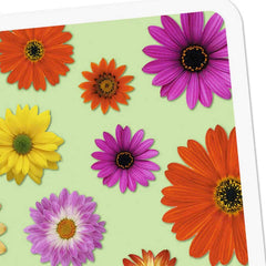 Colorful Daisies Blank Card