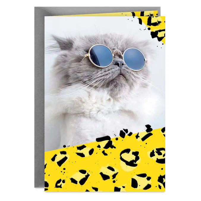 Cool Cat Wearing Sunglasses Blank Card