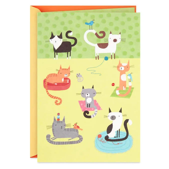 Cute Cats Blank Card