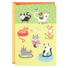 Cute Cats Blank Card