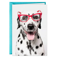 Spotted This Card Funny Thinking of You Card
