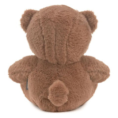 You Are Wonderfully Made Teddy Bear Plush, 8"
