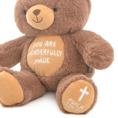 You Are Wonderfully Made Teddy Bear Plush, 8"