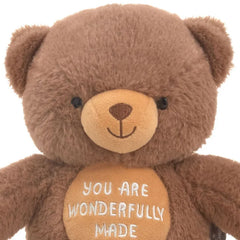 You Are Wonderfully Made Teddy Bear Plush, 8"