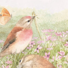 Marjolein Bastin Discover Good Things Birthday Card