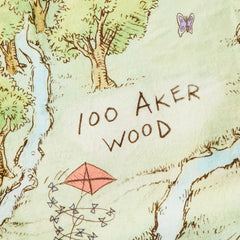 Disney Winnie the Pooh Hundred Acre Wood Map Throw Blanket, 60x52