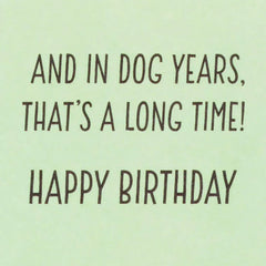 Dog Years Waiting for Cake Funny Birthday Card