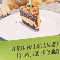 Dog Years Waiting for Cake Funny Birthday Card