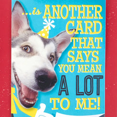 Hugging Dog Pop-Up Birthday Card With Mini Cards