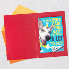 Hugging Dog Pop-Up Birthday Card With Mini Cards