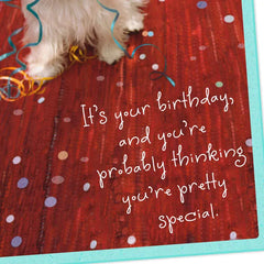 You're Pretty Special Birthday Card
