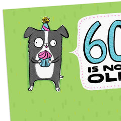 60 Is Not Old Funny 60th Birthday Card