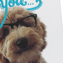 Look at You Being All Awesome Congratulations Card