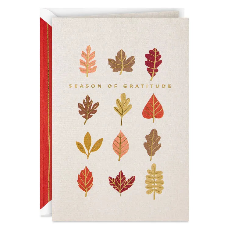 Season of Gratitude Thanksgiving Card