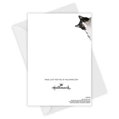 Fat Cat Funny Custom Thanksgiving Card
