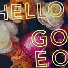 Floral Hello Gorgeous Boxed Blank Notes, Pack of 10