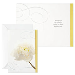 Flower Photos Assorted Sympathy Cards, Box of 12