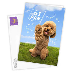 Cute Dog Cheering You On Custom Encouragement Card
