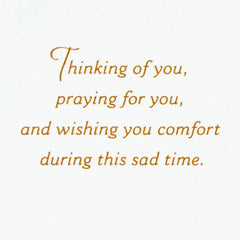 Praying for Comfort at this Sad Time Sympathy Card