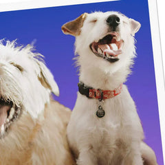That One Friend Funny Friendship Card