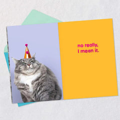 Grumpy Cat Funny Birthday Card