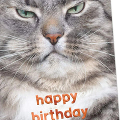 Grumpy Cat Funny Birthday Card