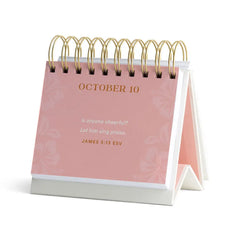 Hannah Crews Hot Rollers & the Holy Spirit 365-Day Perpetual Calendar