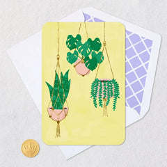 Houseplants in Hanging Baskets Blank Card