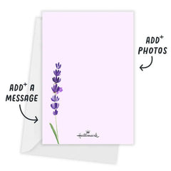 Forever Begins Lavender Flat Wedding Invitation